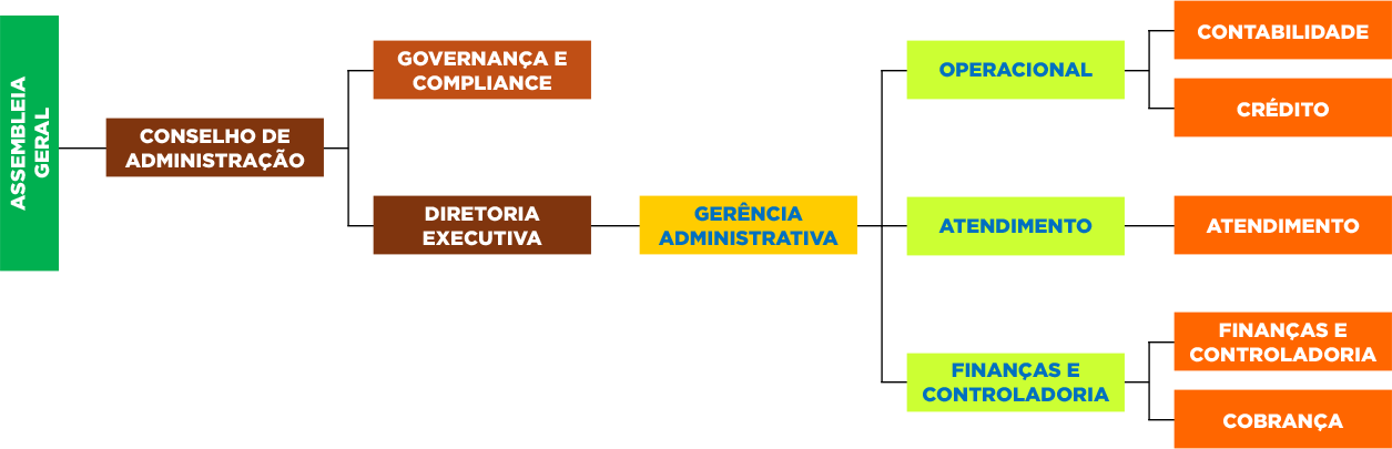 Estrutura Organizacional