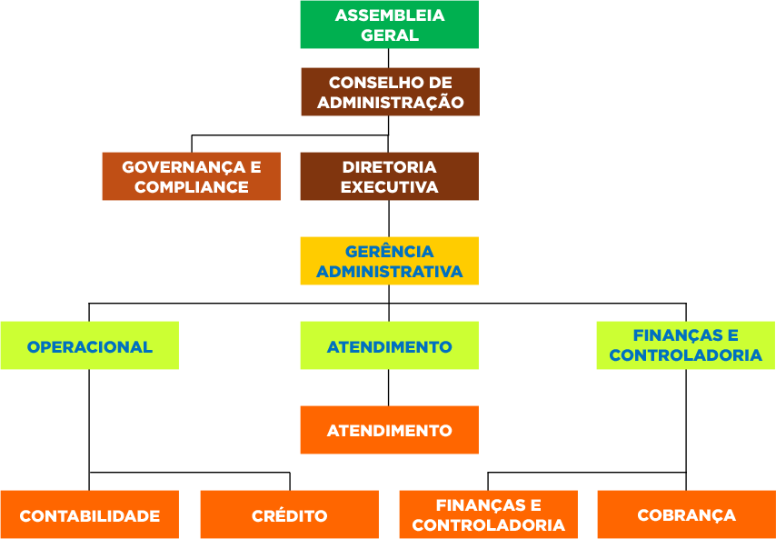Estrutura Organizacional