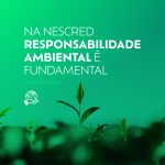 Dia do Meio Ambiente